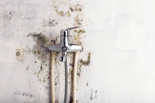 Best Insurance-Related Mold Remediation in Centerville, OH