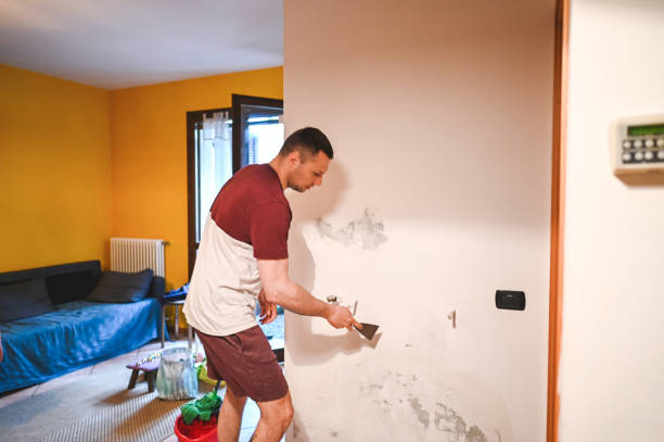 Best Mold Testing and Inspection Services in Centerville, OH